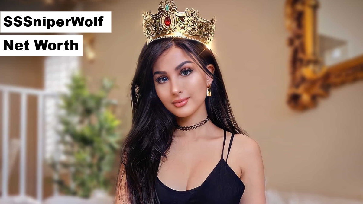 SSSniperWolf Net Worth